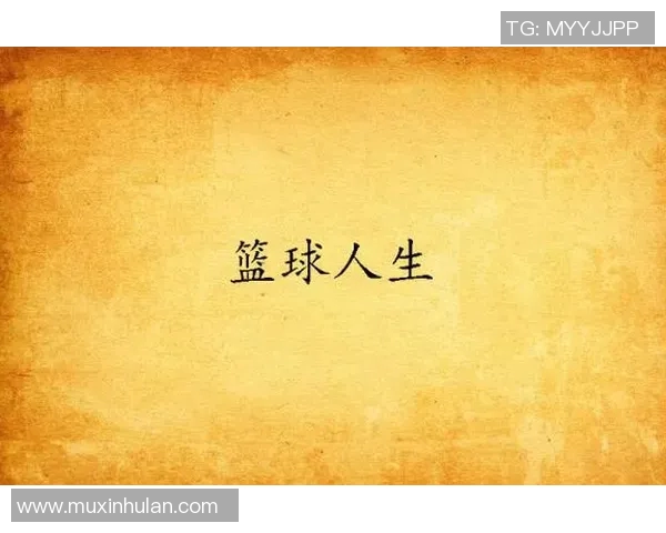 李娜的篮球人生深度对话：从赛场到人生哲学的启示与反思