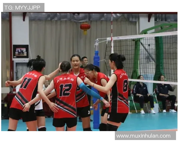 深入探讨北京排球队的实力表现与数据分析背后的秘密与趋势