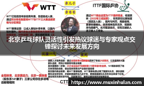 北京乒乓球队灵活性引发热议球迷与专家观点交锋探讨未来发展方向