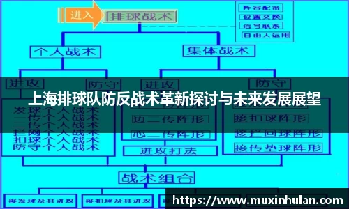 上海排球队防反战术革新探讨与未来发展展望