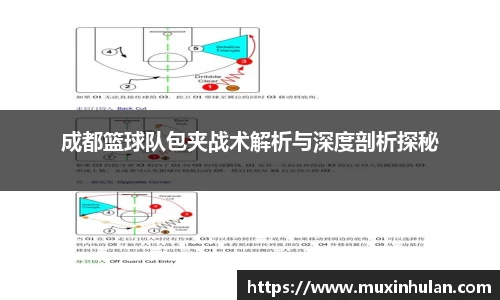 成都篮球队包夹战术解析与深度剖析探秘