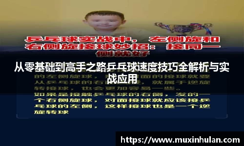 从零基础到高手之路乒乓球速度技巧全解析与实战应用