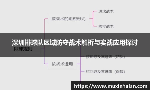 深圳排球队区域防守战术解析与实战应用探讨
