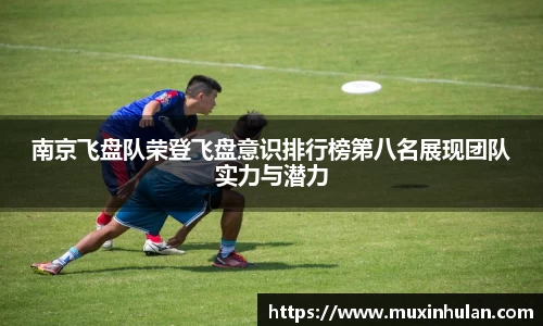 南京飞盘队荣登飞盘意识排行榜第八名展现团队实力与潜力